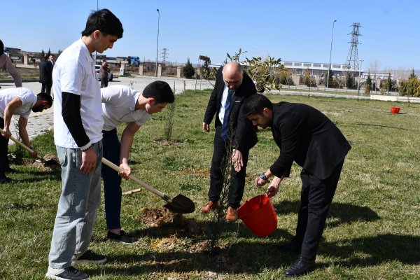 Peşə Təhsil Mərkəzində ağacəkmə aksiyası keçirilib