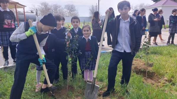 Ekoloqlar internat məktəbinin şagirdləri ilə ağacəkmə aksiyası keçirdi (FOTOLAR)