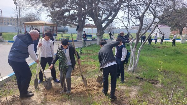 Ekoloqlar internat məktəbinin şagirdləri ilə ağacəkmə aksiyası keçirdi (FOTOLAR)