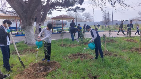 Ekoloqlar internat məktəbinin şagirdləri ilə ağacəkmə aksiyası keçirdi (FOTOLAR)