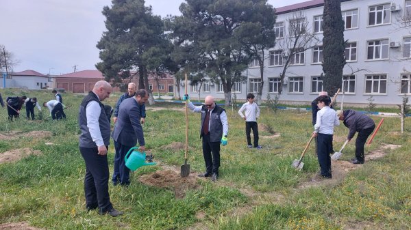 Ekoloqlar internat məktəbinin şagirdləri ilə ağacəkmə aksiyası keçirdi (FOTOLAR)