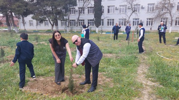Ekoloqlar internat məktəbinin şagirdləri ilə ağacəkmə aksiyası keçirdi (FOTOLAR)