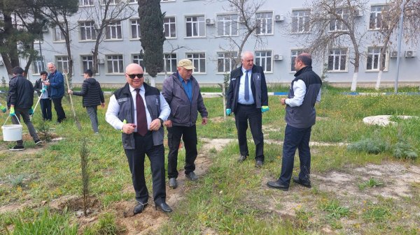 Ekoloqlar internat məktəbinin şagirdləri ilə ağacəkmə aksiyası keçirdi (FOTOLAR)