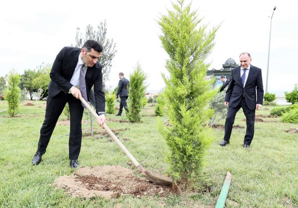 Sumqayıtda “Yaşıl Gömrük təşəbbüsü” mövzusunda tədbir keçirilib - FOTOLAR