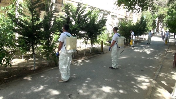 Sumqayıtın dezinfeksiya komandasından maraqlı təşəbbüs- FOTOLAR