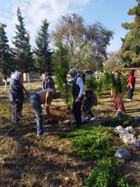 Sumqayıt Tibb Mərkəzinin (STM) nəzdindəki tibb müəssisələrində ağacəkmə aksiyaları keçirilib Sumqayıt Tibb Mərkəzinin (STM) nəzdindəki tibb müəssisələrində ağacəkmə aksiyaları keçirilib