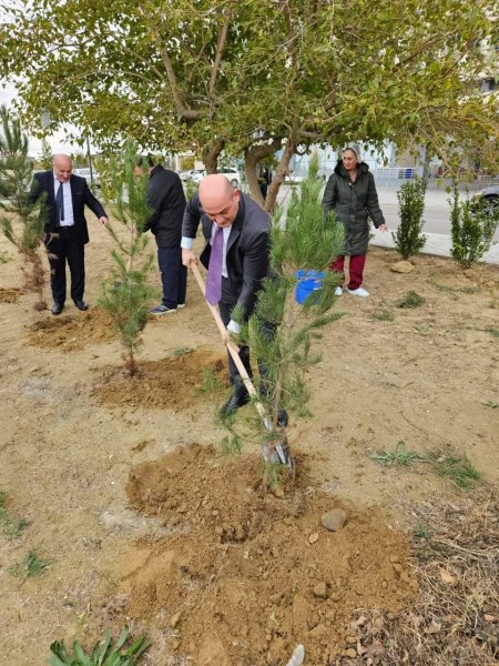 Sumqayıt Tibb Mərkəzinin (STM) nəzdindəki tibb müəssisələrində ağacəkmə aksiyaları keçirilib Sumqayıt Tibb Mərkəzinin (STM) nəzdindəki tibb müəssisələrində ağacəkmə aksiyaları keçirilib