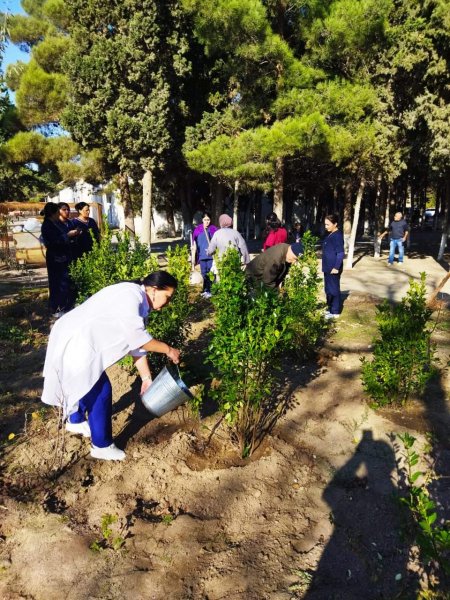 Sumqayıt Tibb Mərkəzinin (STM) nəzdindəki tibb müəssisələrində ağacəkmə aksiyaları keçirilib Sumqayıt Tibb Mərkəzinin (STM) nəzdindəki tibb müəssisələrində ağacəkmə aksiyaları keçirilib