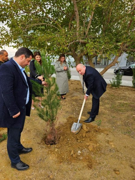 Sumqayıt Tibb Mərkəzinin (STM) nəzdindəki tibb müəssisələrində ağacəkmə aksiyaları keçirilib Sumqayıt Tibb Mərkəzinin (STM) nəzdindəki tibb müəssisələrində ağacəkmə aksiyaları keçirilib