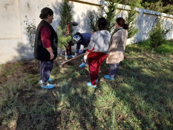 Sumqayıt Tibb Mərkəzinin (STM) nəzdindəki tibb müəssisələrində ağacəkmə aksiyaları keçirilib Sumqayıt Tibb Mərkəzinin (STM) nəzdindəki tibb müəssisələrində ağacəkmə aksiyaları keçirilib