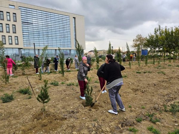 Sumqayıt Tibb Mərkəzinin (STM) nəzdindəki tibb müəssisələrində ağacəkmə aksiyaları keçirilib Sumqayıt Tibb Mərkəzinin (STM) nəzdindəki tibb müəssisələrində ağacəkmə aksiyaları keçirilib