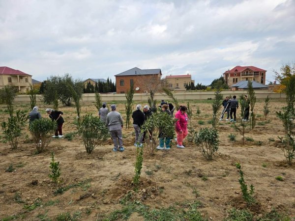 Sumqayıt Tibb Mərkəzinin (STM) nəzdindəki tibb müəssisələrində ağacəkmə aksiyaları keçirilib Sumqayıt Tibb Mərkəzinin (STM) nəzdindəki tibb müəssisələrində ağacəkmə aksiyaları keçirilib