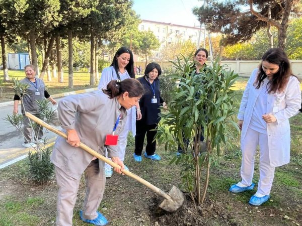 Sumqayıt Tibb Mərkəzinin (STM) nəzdindəki tibb müəssisələrində ağacəkmə aksiyaları keçirilib Sumqayıt Tibb Mərkəzinin (STM) nəzdindəki tibb müəssisələrində ağacəkmə aksiyaları keçirilib