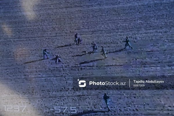 Azərbaycan-Gürcüstan sərhədində şərti sərhəd pozucuları zərərsizləşdiriliblər Azərbaycan-Gürcüstan sərhədində şərti sərhəd pozucuları zərərsizləşdiriliblər