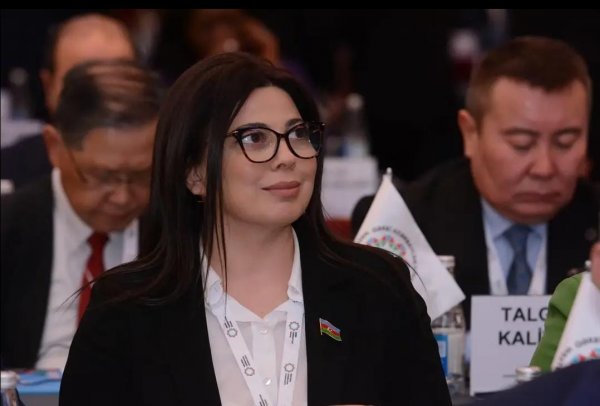 Sumqayıtlı deputat beynəlxalq konfransda iştirak etdi