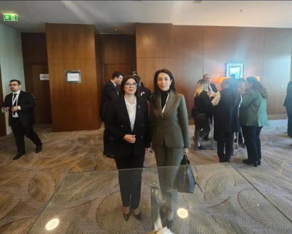 Sumqayıtlı deputat beynəlxalq konfransda iştirak etdi
