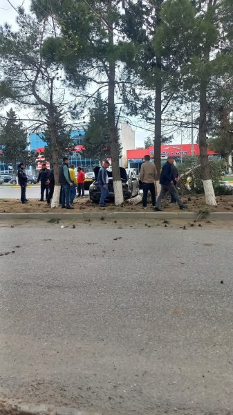 Sumqayıtda minik avtomobili ağacı aşırdı - FOTO Sumqayıtda minik avtomobili ağacı aşırdı - FOTO