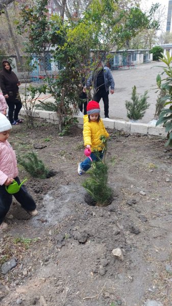 Dövlət Ekoloji Ekspertiza Agentliyi tərəfindən 3 ərazidə ağacəkmə tədbirləri keçirilib Dövlət Ekoloji Ekspertiza Agentliyi tərəfindən 3 ərazidə ağacəkmə tədbirləri keçirilib