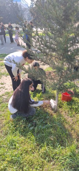 Dövlət Ekoloji Ekspertiza Agentliyi tərəfindən 3 ərazidə ağacəkmə tədbirləri keçirilib Dövlət Ekoloji Ekspertiza Agentliyi tərəfindən 3 ərazidə ağacəkmə tədbirləri keçirilib