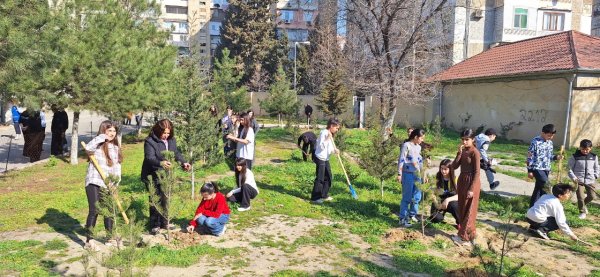 Dövlət Ekoloji Ekspertiza Agentliyi tərəfindən 3 ərazidə ağacəkmə tədbirləri keçirilib Dövlət Ekoloji Ekspertiza Agentliyi tərəfindən 3 ərazidə ağacəkmə tədbirləri keçirilib