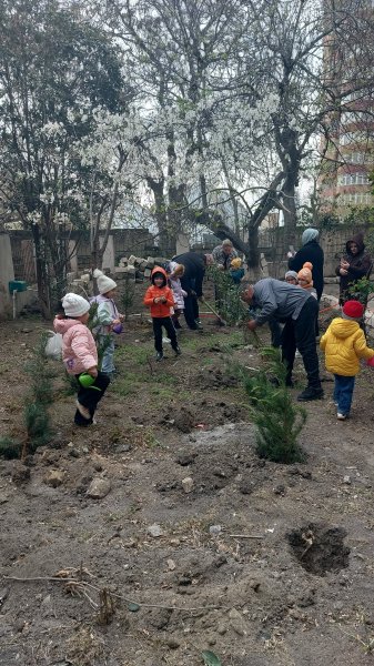 Dövlət Ekoloji Ekspertiza Agentliyi tərəfindən 3 ərazidə ağacəkmə tədbirləri keçirilib Dövlət Ekoloji Ekspertiza Agentliyi tərəfindən 3 ərazidə ağacəkmə tədbirləri keçirilib