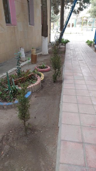 Dövlət Ekoloji Ekspertiza Agentliyi tərəfindən 3 ərazidə ağacəkmə tədbirləri keçirilib Dövlət Ekoloji Ekspertiza Agentliyi tərəfindən 3 ərazidə ağacəkmə tədbirləri keçirilib