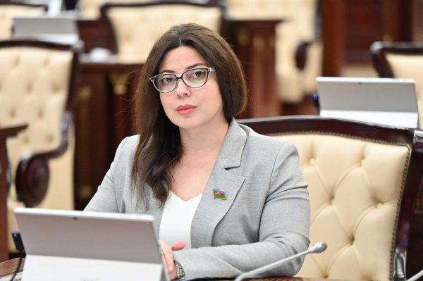 Sumqayıtın deputatı Şuşa Bəyannaməsinin mahiyyətindən yazdı
