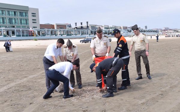 Xəzərin Sumqayıt sahilində təmizlik aksiyası keçirilib – FOTO