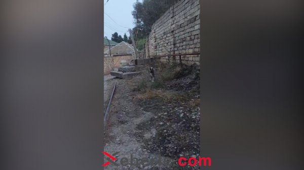 Sumqayıtda şəhid adına olan küçədə maneələr var - FOTO (VİDEO)