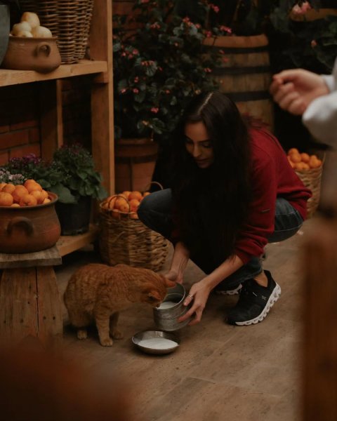 Leyla Əliyeva Qusarda "Kənd Həyatı" layihəsinin qonağı olub - VİDEO (FOTOLAR) Leyla Əliyeva Qusarda "Kənd Həyatı" layihəsinin qonağı olub - VİDEO (FOTOLAR)