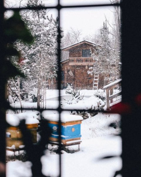 Leyla Əliyeva Qusarda "Kənd Həyatı" layihəsinin qonağı olub - VİDEO (FOTOLAR) Leyla Əliyeva Qusarda "Kənd Həyatı" layihəsinin qonağı olub - VİDEO (FOTOLAR)