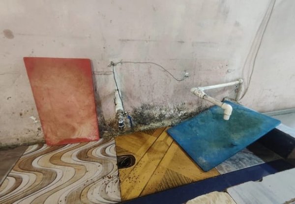 Novxanıdakı "Dağlılar Balıq" restoranının fəaliyyəti məhdudlaşdırıldı (SƏBƏB)